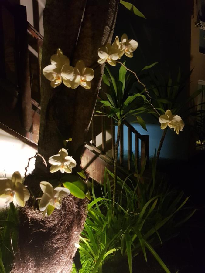 Linda Casa Em Juquehy Villa Juquei Eksteriør bilde